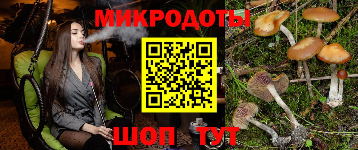 Псилоцибиновые грибы GOLDEN TEACHER Зима