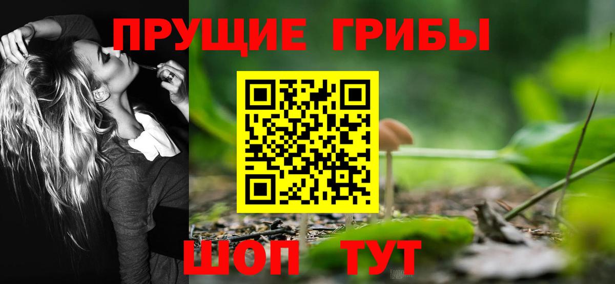 Галлюциногенные грибы мицелий  Псилоцибиновые грибы Cubensis  Зима  Вход с VPN 